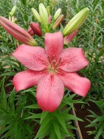 [4043 Opportunity No02.JPG]